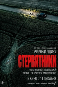 Постер к Стервятники